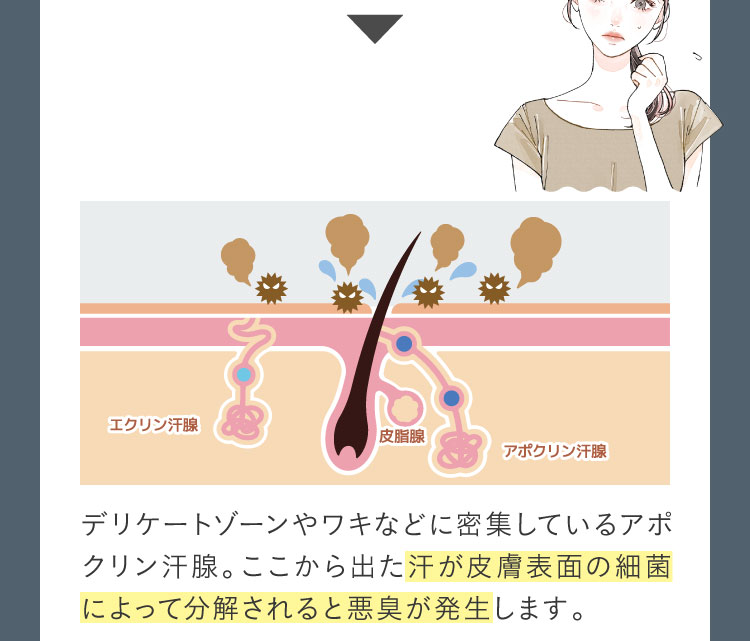 ニオイ菌の繁殖を抑える