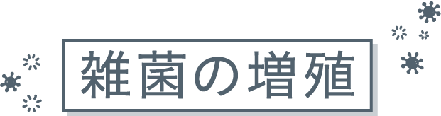 雑菌の増殖