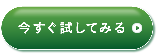 今すぐ試す